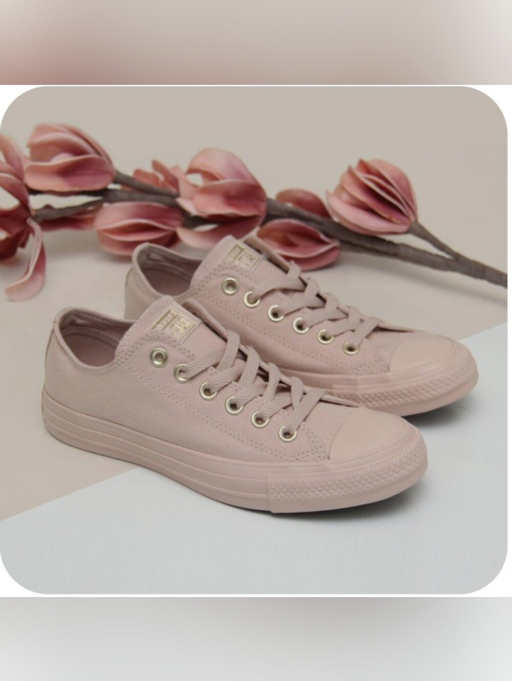 Converse Low Top Canvas Sneakers